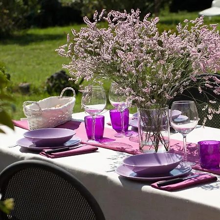 Il Vecchio Mulino Toscana Villa Radicondoli