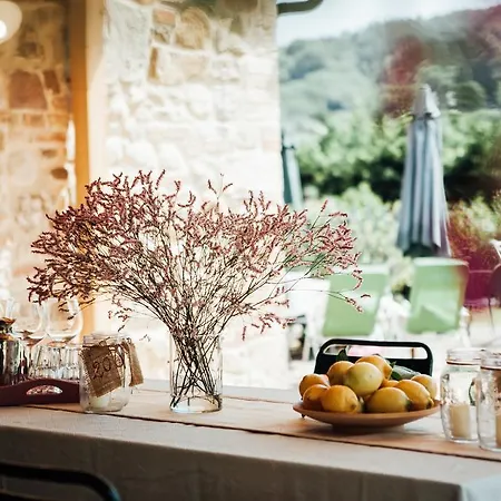 Villa Il Vecchio Mulino Toscana